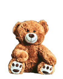 The same bear, cut out of its background