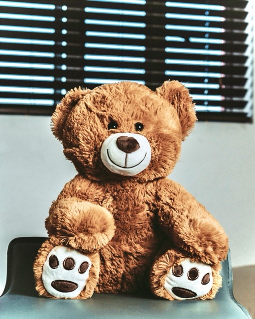 A teddy bear photographed on a chair